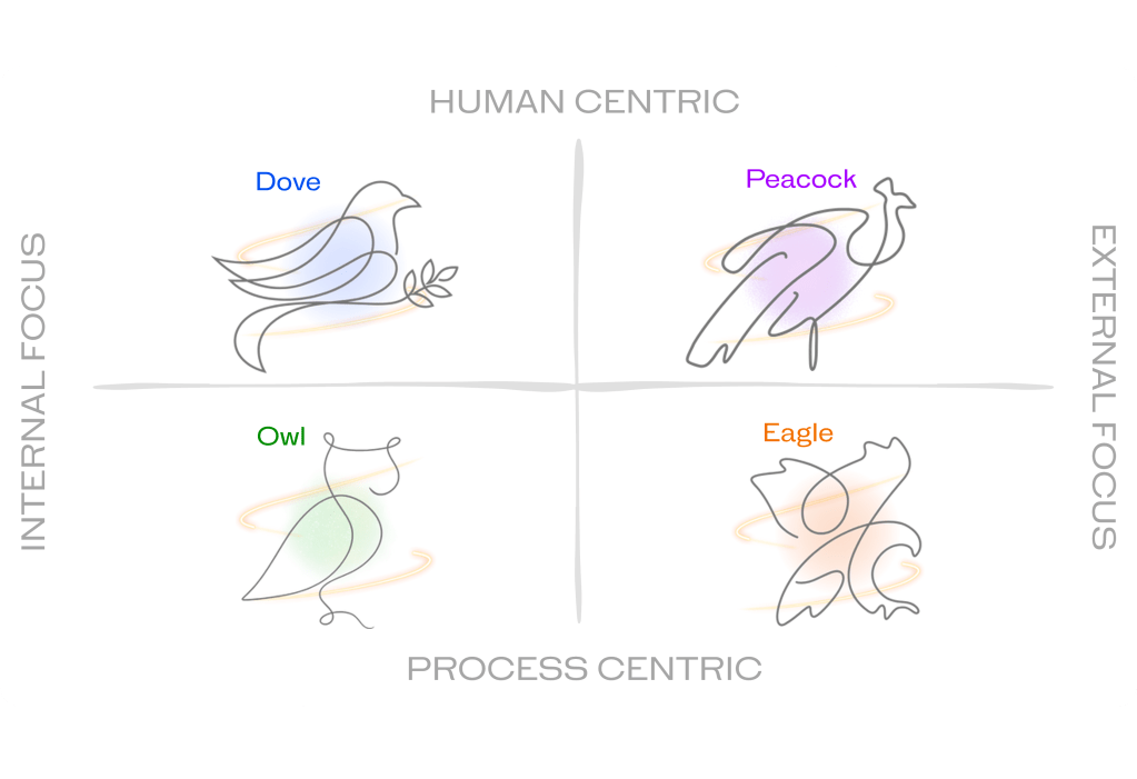 The Cardinal Rule quadrant showing Dove, Owl, Peacock, and Eagle lenses across human/process and internal/external focus.