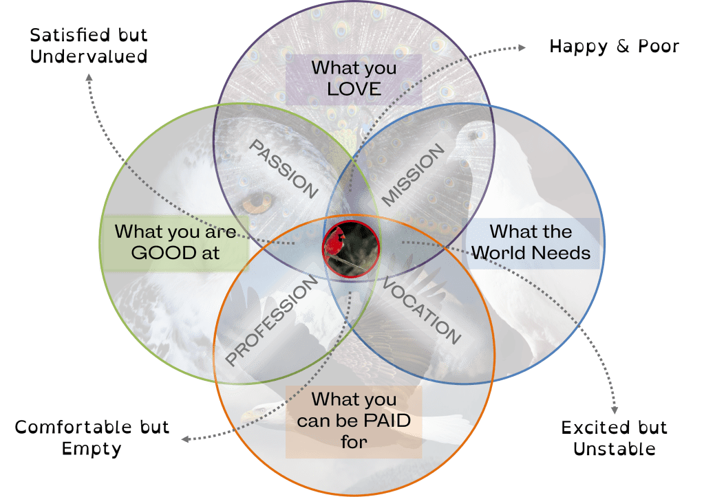 Cardinal Focus diagram combining what you love, what you’re good at, what the world needs, and what you can be paid for.
