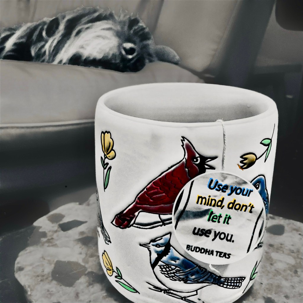 A Mug, A Dog, and a Sentence About the Mind: Civilization,&nbsp;Distilled