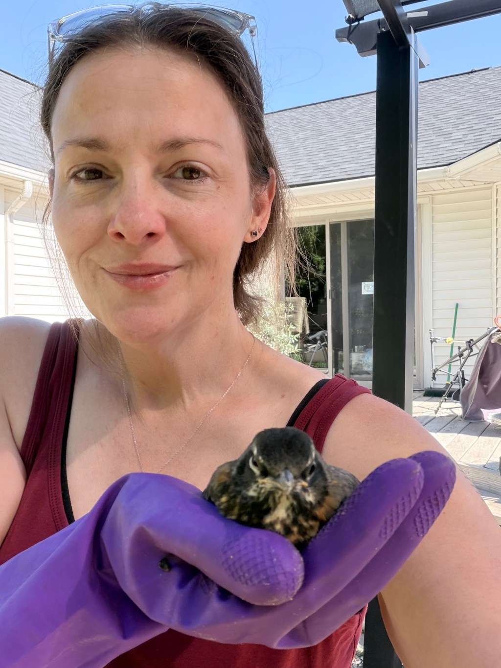 A Robin, A Window, and a Second&nbsp;Chance